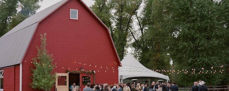 Century Tent & Bistro Lighting