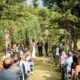 Rustic Iron Wedding Arbor rental & White Garden Resin Ceremony Chairs