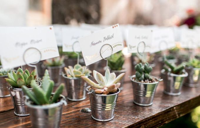 Succulent Wedding Place Cards